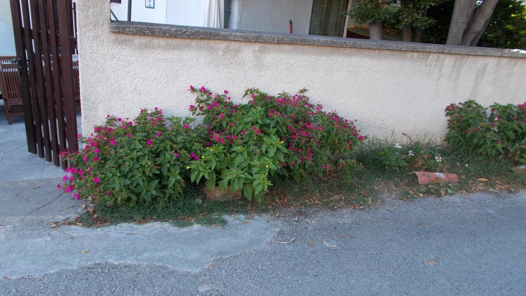 Guest House Accommodation Rupine Premantura Kültér fotó